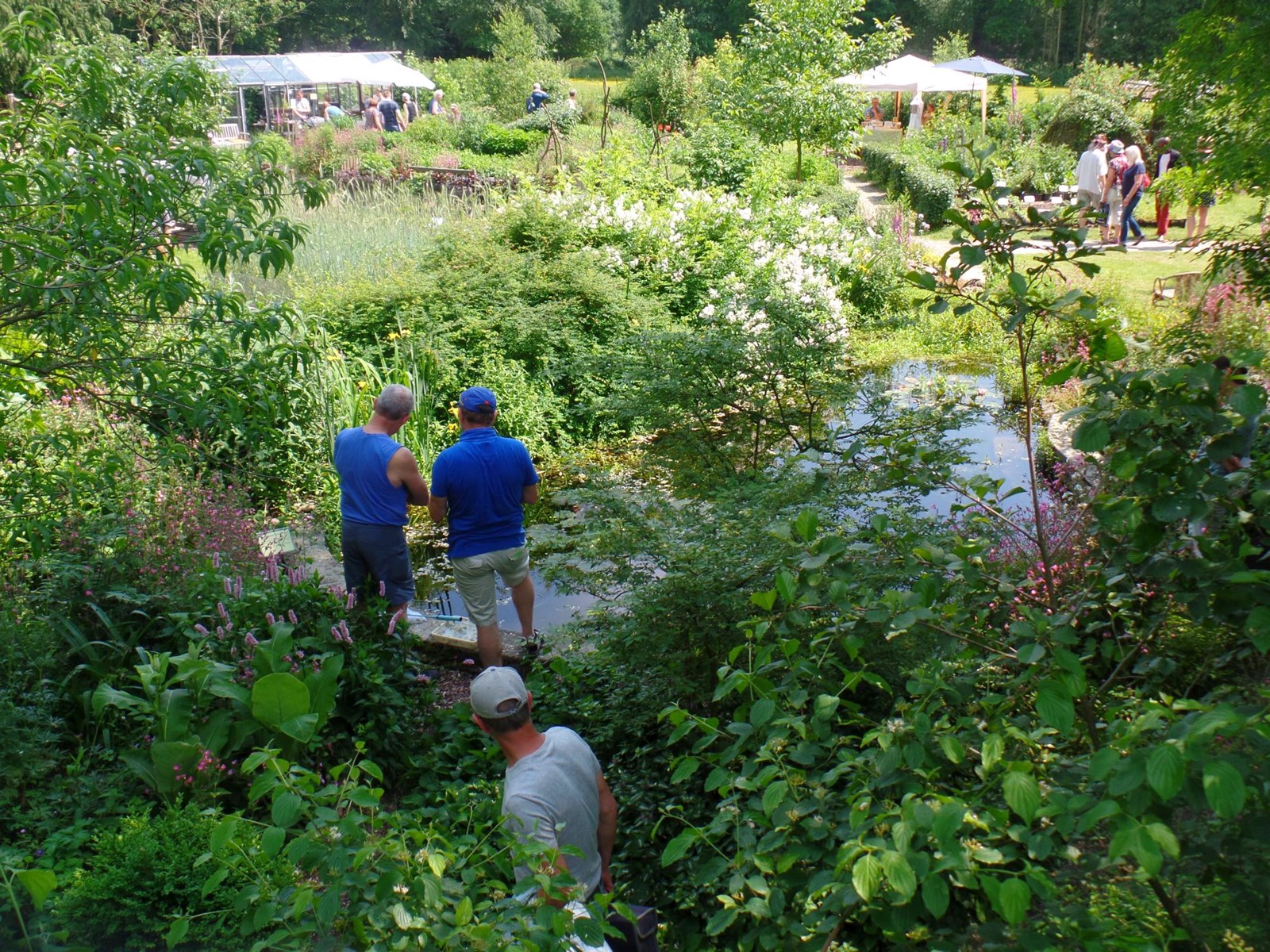 Ecotuindagen in een weelderige tuin Naturentuin Goirle Anneke Scholte