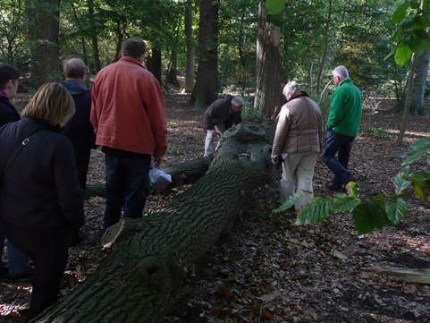 Een mooie wandeling