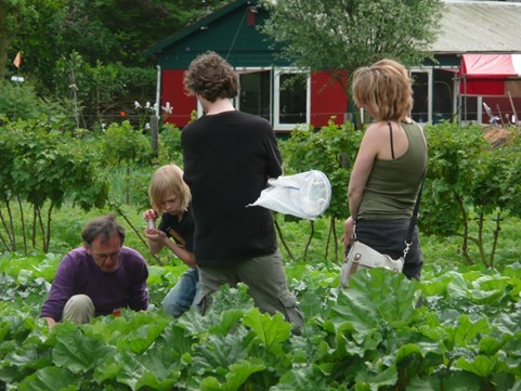 En rondleidingen over wisselteelt en (hier) insecten 