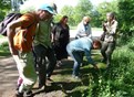 Natuur er-varen: er groeit veel wat je kunt gebruiken