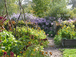 Workshop Onderhoud in de siertuin