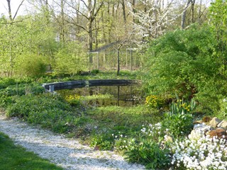 Naturentuin 02