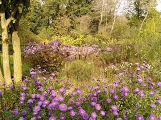 Naturentuin 2024-04