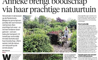 uitsnede artikel 3