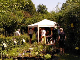 Activiteiten voor jong en oud tijdens Nazomertuindag in de Naturentuin