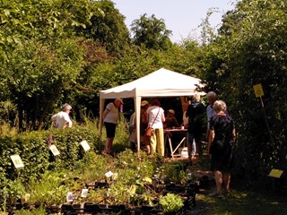 Activiteiten in de Naturentuin